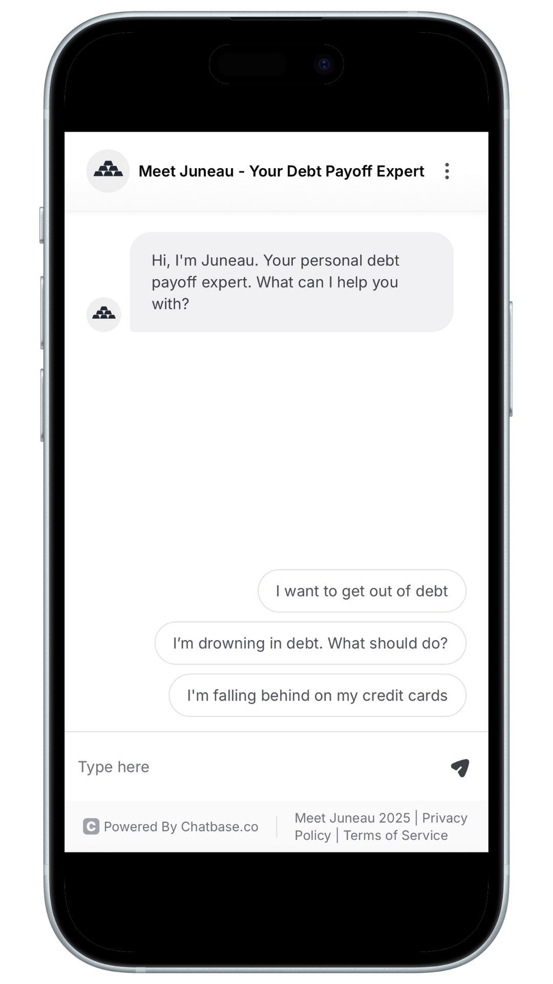 Juneau Chatbot Screenshot